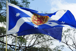 Scottish Flag blown by the wind